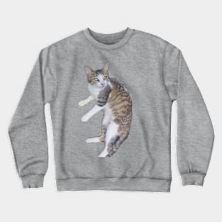 Kitten Crewneck Sweatshirt